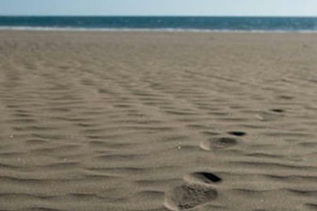 Primera Linea De Playa De Las Burras San Agustín Exteriör bild